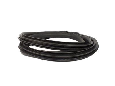 Ford FL3Z-16253A11-A Weatherstrip Assy - Door Opening