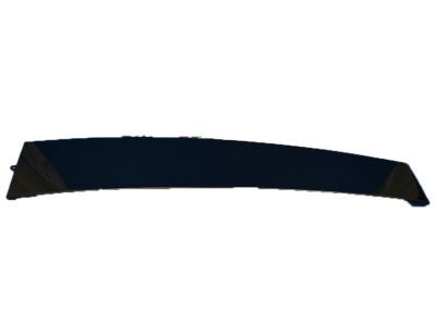 Lincoln MKX Door Moldings - 8T4Z-7820555-A