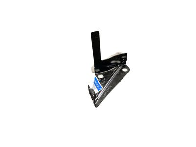 Ford HC3Z-99431F79-A Plate - Gate Retaining, Driver Side HC3Z-99431F79-A Ford Plate - Gate Retaining, Driver Side Product Photo 1 of 4