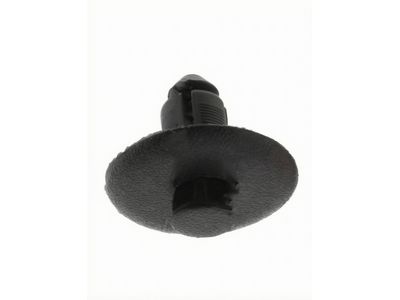 -W705956-S300 Ford Clip Product Photo 2 of 4