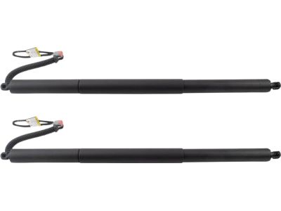 Ford JL1Z-14B351-A Drive Motor