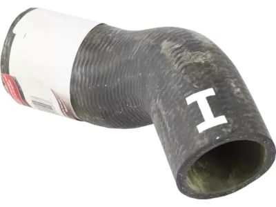 2R3Z-8286-AB Ford Hose - Radiator, Lower Product Photo 2 of 3