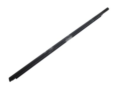 Ford 6E5Z-5421453-A Belt Weatherstrip, Black, Driver Side