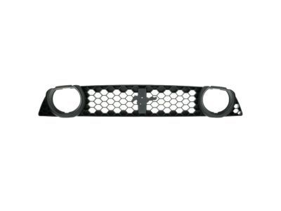 Ford DR3Z-8200-CB Grille