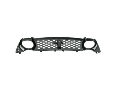 Ford DR3Z-8200-CB Grille