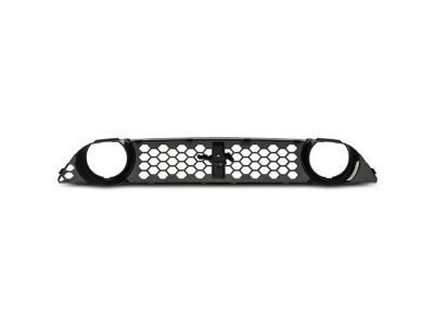 Ford DR3Z-8200-CB Grille