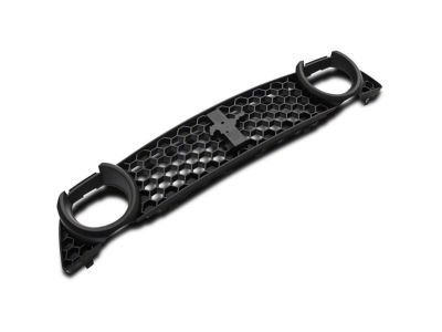 Ford DR3Z-8200-CB Grille