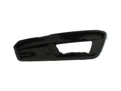 Ford F1EZ-15266-C Outer Grille, Front Passenger Side