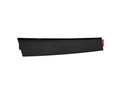 Ford Special Service Police Sedan Door Moldings - DG1Z-5420555-AA
