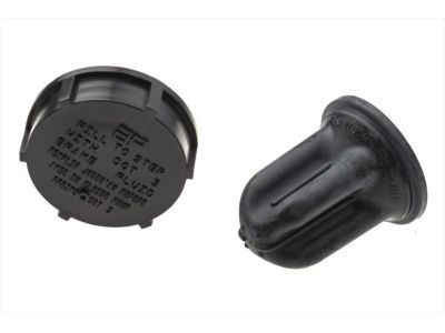 Ford F2TZ-7K505-A Cap                                