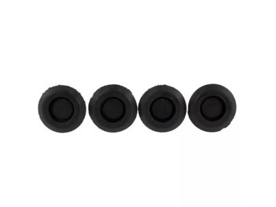 Ford -W716284-S300 Plug