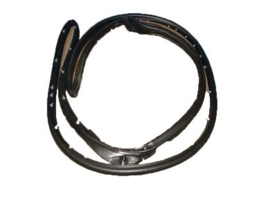 Ford 1L2Z-7825325-AA Weatherstrip, Driver Side