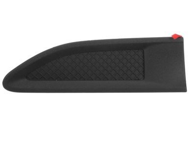 Ford DG1Z-16178-C Nameplate, Front Passenger Side
