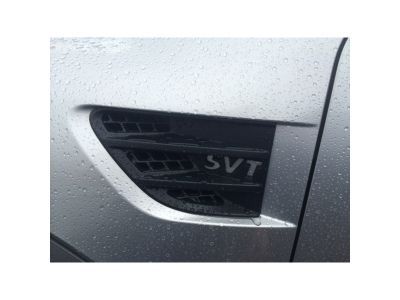 Ford AL3Z-16228-B Nameplate, Front Driver Side