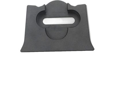 Ford 4L3Z-15045A76-AAA Top Finish Panel, Front