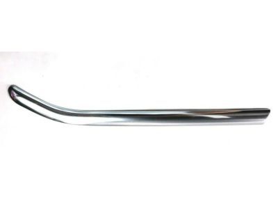 Ford CP9Z-5825510-A Molding
