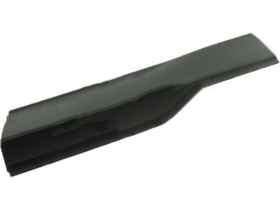 Ford FT4Z-5825556-AB Lower Molding, Black, Rear Passenger Side
