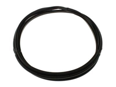 Lincoln 2L1Z-7842084-AA Weatherstrip - Back Window