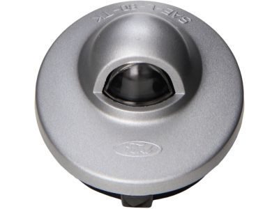 Ford F1TZ-13550-A Lamp Assembly, Black, Rear