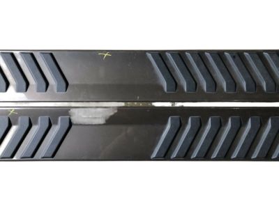 Ford FL3Z-16450-MA Step Assy