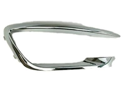 Ford HP5Z-15266-AA Trim Molding, Front Passenger Side