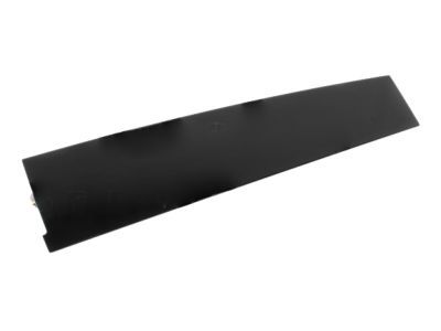 Lincoln AE9Z-7420555-C Moulding - Door Outside