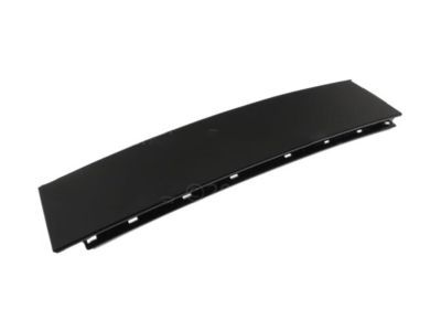 Ford FL3Z-16255A34-AA Moulding, Passenger Side