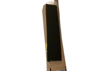 Ford FL3Z-16255A34-AA Moulding, Passenger Side