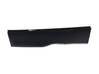 Ford FL3Z-16255A34-AA Moulding, Passenger Side