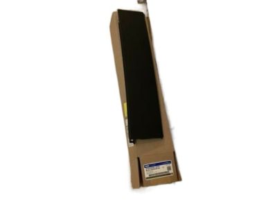Ford FL3Z-16255A34-AA Moulding, Passenger Side