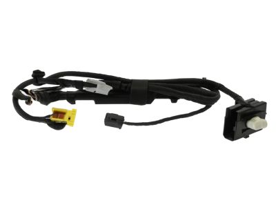 DU5Z-14A698-EA Ford Wire Assembly, Driver Side Product Photo 1 of 1