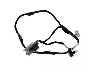 Ford FR3Z-14A318-A Socket And Wire Assembly - Lamp, Passenger Side