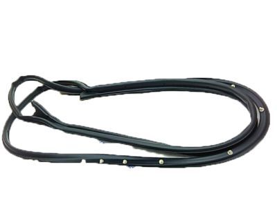 Mercury Montego Door Seal - 8G1Z-5420530-A
