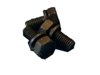 Mercury -N802096-S2 Screw                              
