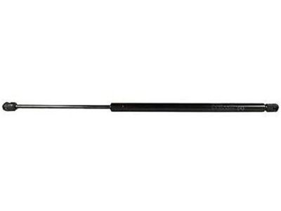 Ford AE9Z-16C826-A Lift Cylinder, Passenger Side