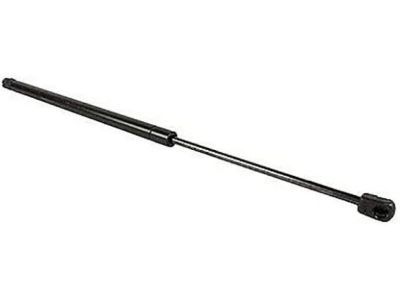 Ford AE9Z-16C826-A Lift Cylinder, Passenger Side