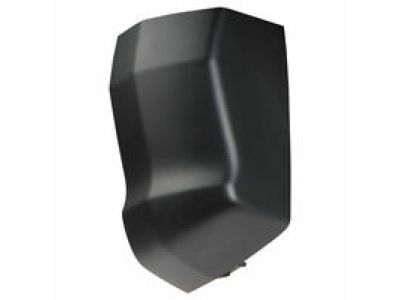 Ford FL3Z-1520976-AB Lower Molding, Passenger Side