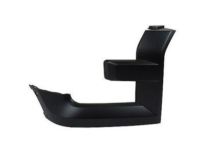 Ford FL3Z-17C754-CPTM Trim Molding