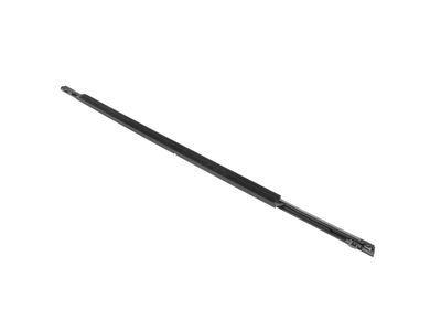 8A5Z-5421453-AA Ford Weatherstrip Assembly - Door Window, Driver Side Product Photo 4 of 4