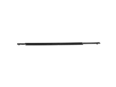 8A5Z-5421453-AA Ford Weatherstrip Assembly - Door Window, Driver Side Product Photo 3 of 4