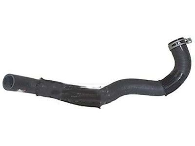 Ford 3C3Z-8286-AC Hose Assembly, Lower