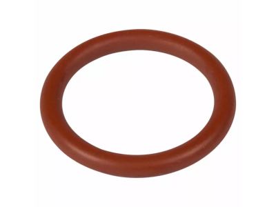 Ford CV6Z-19E889-C O Ring