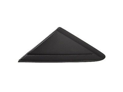 Ford CJ5Z-16003-BA Upper Molding, Front Driver Side