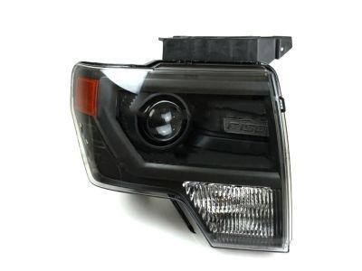 Ford DL3Z-13008-BB Headlamp Assembly, Black, Front Passenger Side