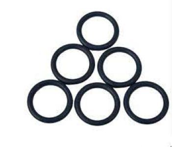 Ford 1W1Z-19E889-JB Bracket O-Ring, Driver Side
