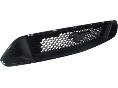 Ford FR3Z-8200-BA Grille, Black, Front
