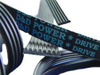Ford E6AZ-8620-A Serpentine Belt