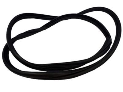 Mercury 7G1Z-54253A11-A Weatherstrip On Body