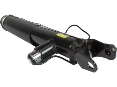 Ford DA5Z-18125-A Shock Absorber Assembly, Passenger Side