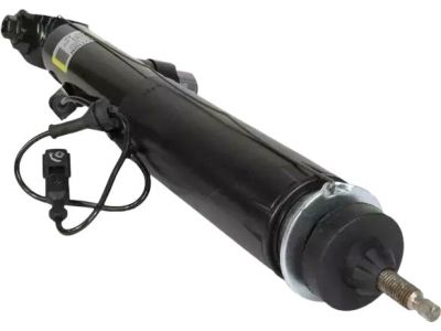 Ford DA5Z-18125-A Shock Absorber Assembly, Passenger Side